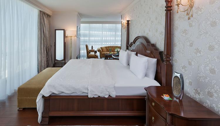 SUITE WITH QUEEN SIZE BED