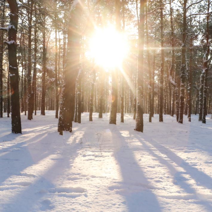 5 REASONS TO SPEND VALENTINE'S DAY IN SAPANCA
